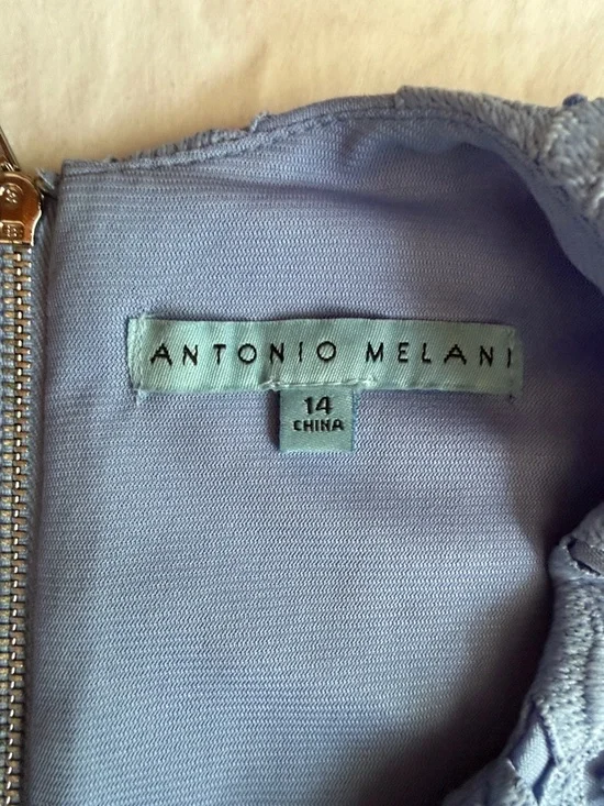 Antonio Melani Dress NWT SIZE 14 - Picture 3 of 12